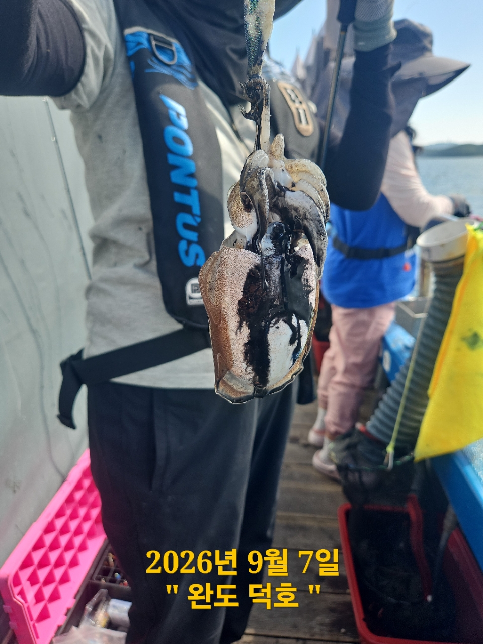 9월 7일 완도 문어 선상낚시 조황 현장 사진 12