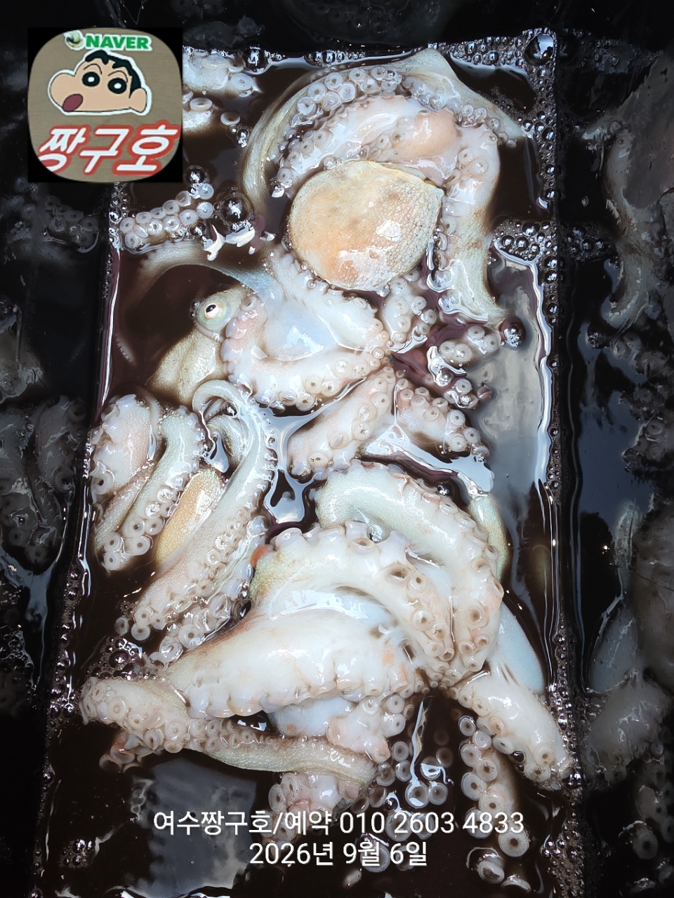 9월 6일 여수 문어 선상낚시 조황 현장 사진 22