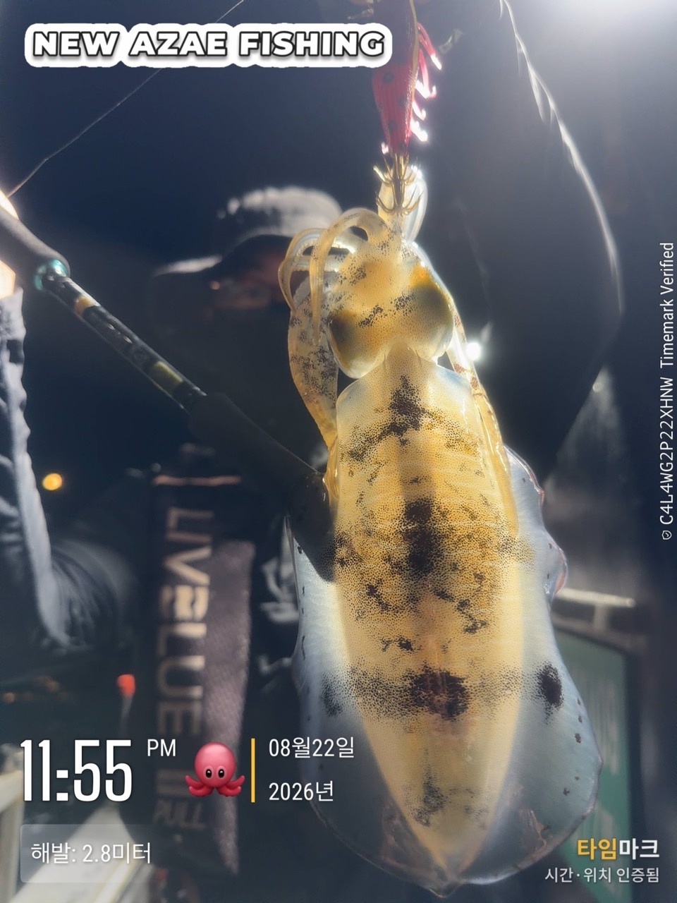9월 7일 삼천포 갑오징어 선상낚시 조황 현장 사진 16