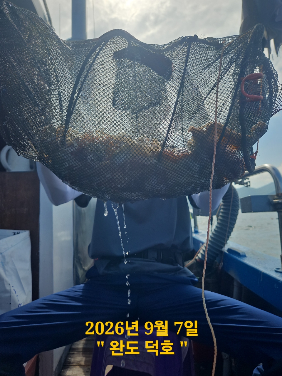 9월 7일 완도 문어 선상낚시 조황 현장 사진 3