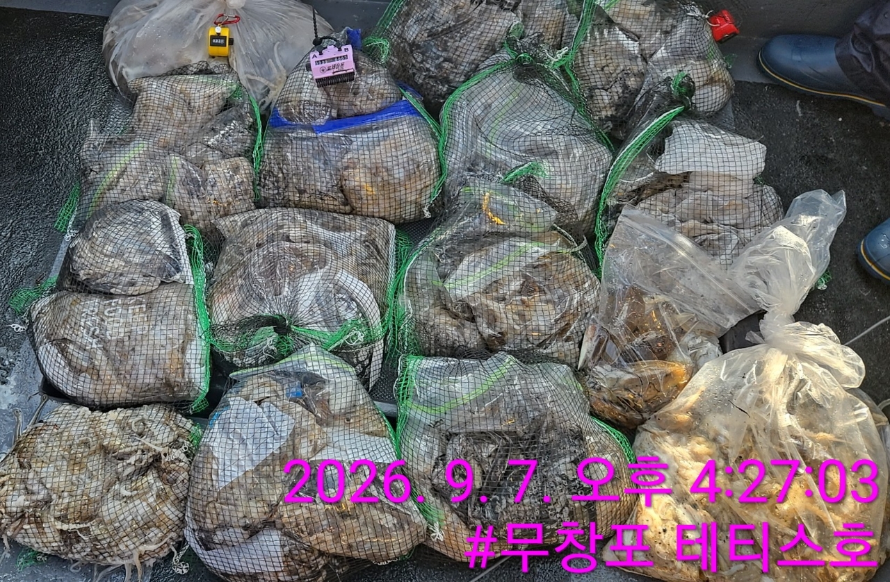 9월 7일 여수 주꾸미 선상낚시 조황 현장 사진 16