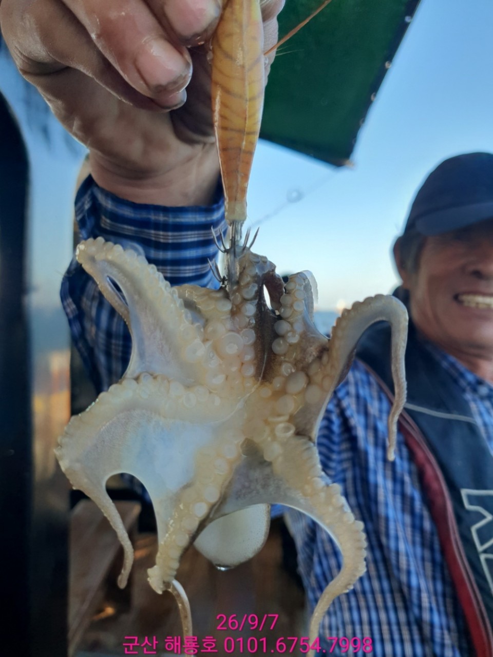 9월 7일 군산 주꾸미 선상낚시 조황 현장 사진 3