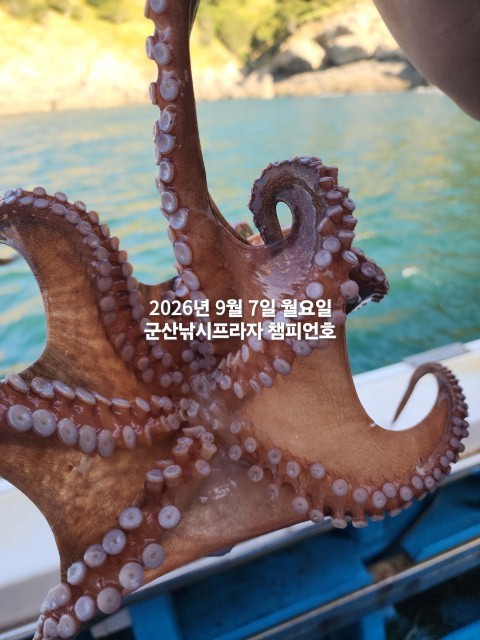 9월 7일 여수 주꾸미 선상낚시 조황 현장 사진 10