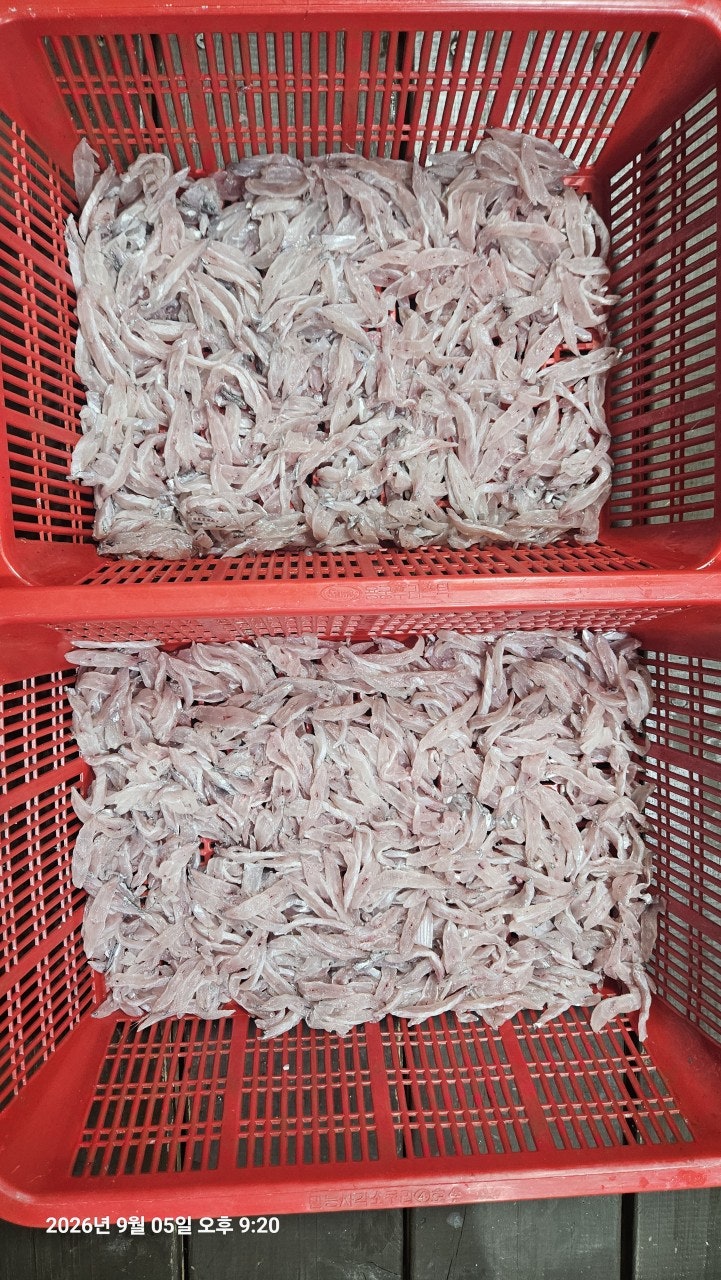 ����ڰ� �ø� �̹���