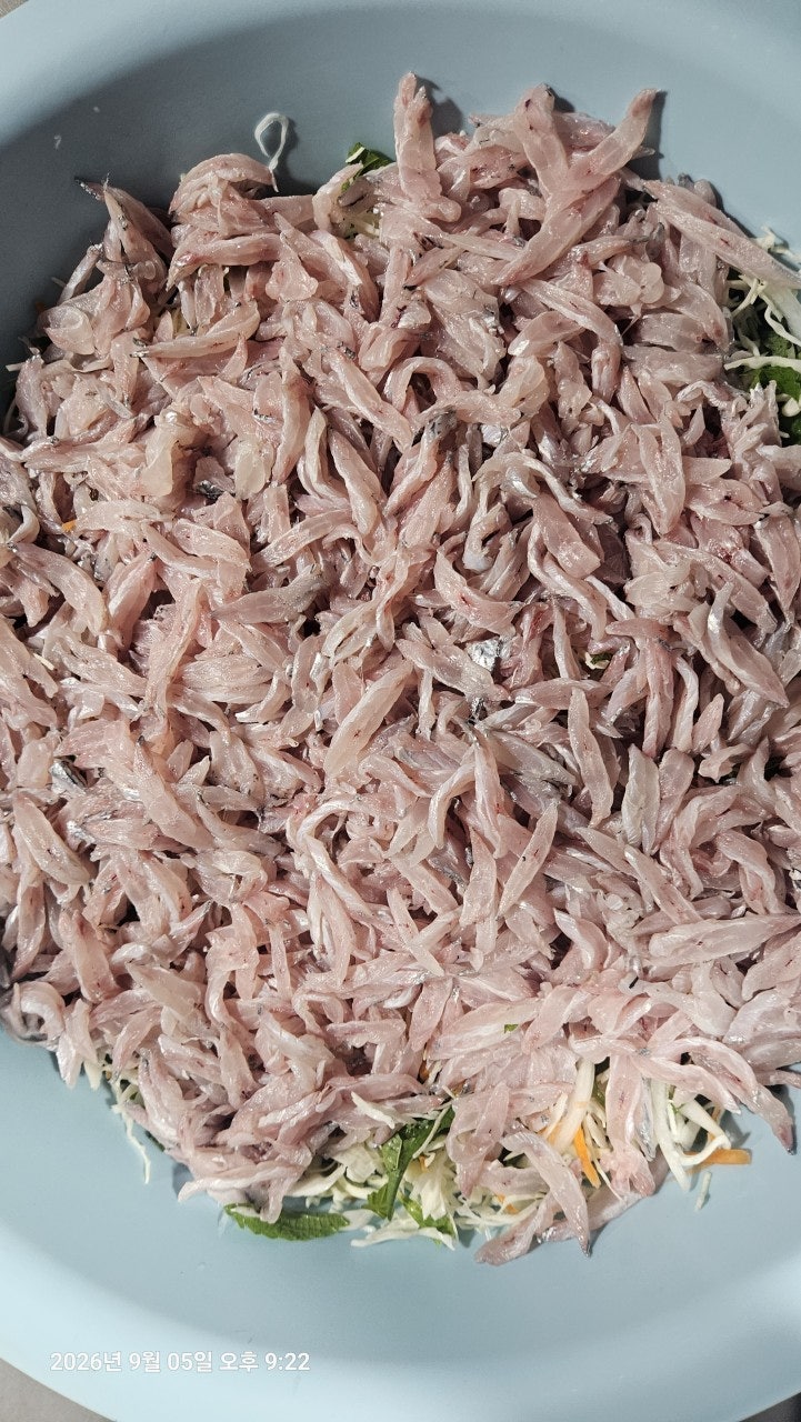 ����ڰ� �ø� �̹���