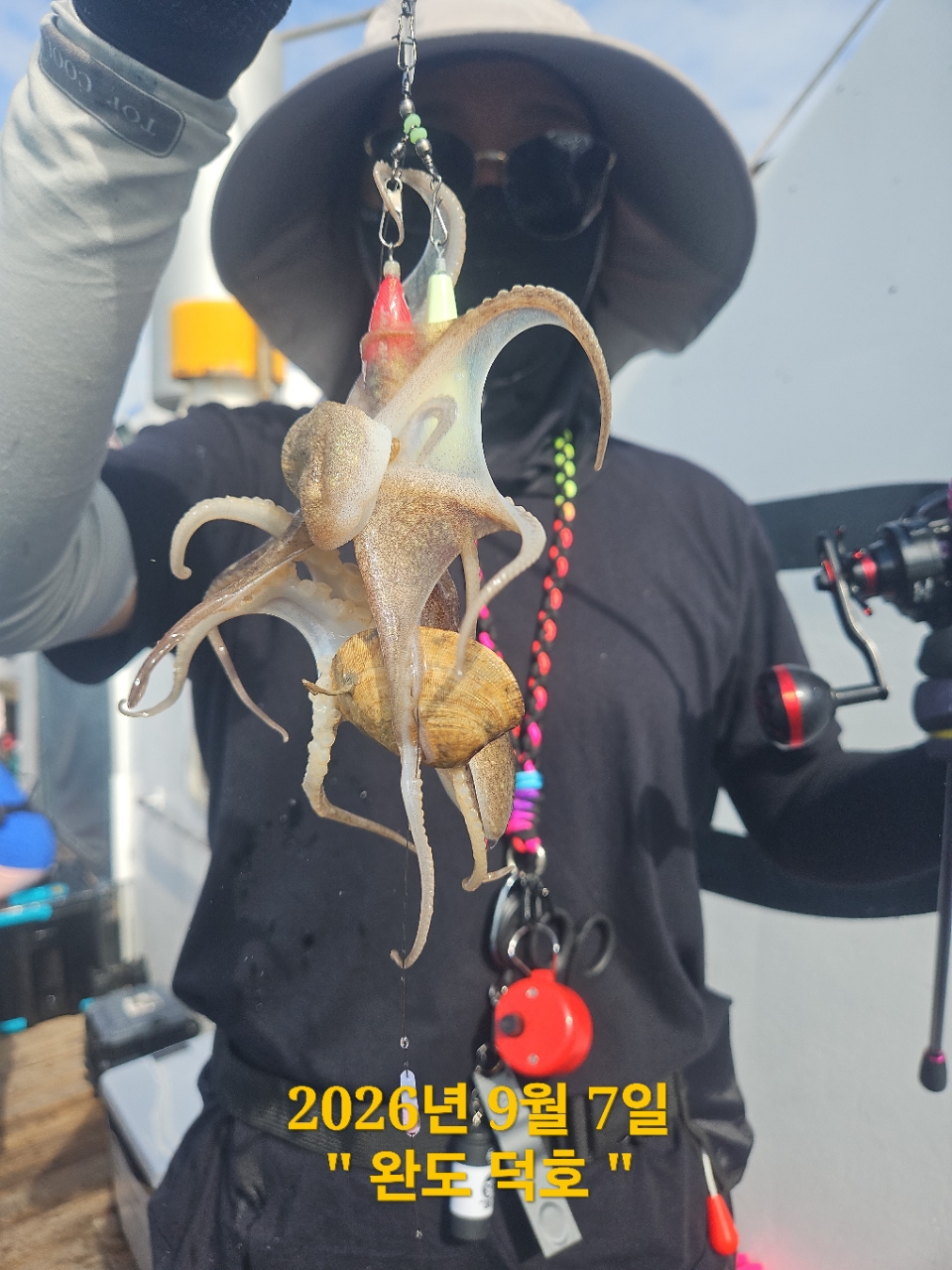 9월 7일 완도 문어 선상낚시 조황 현장 사진 7