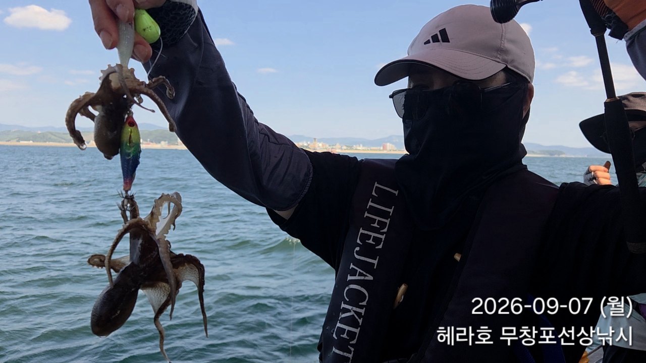 9월 7일 포항 주꾸미 선상낚시 조황 현장 사진 1