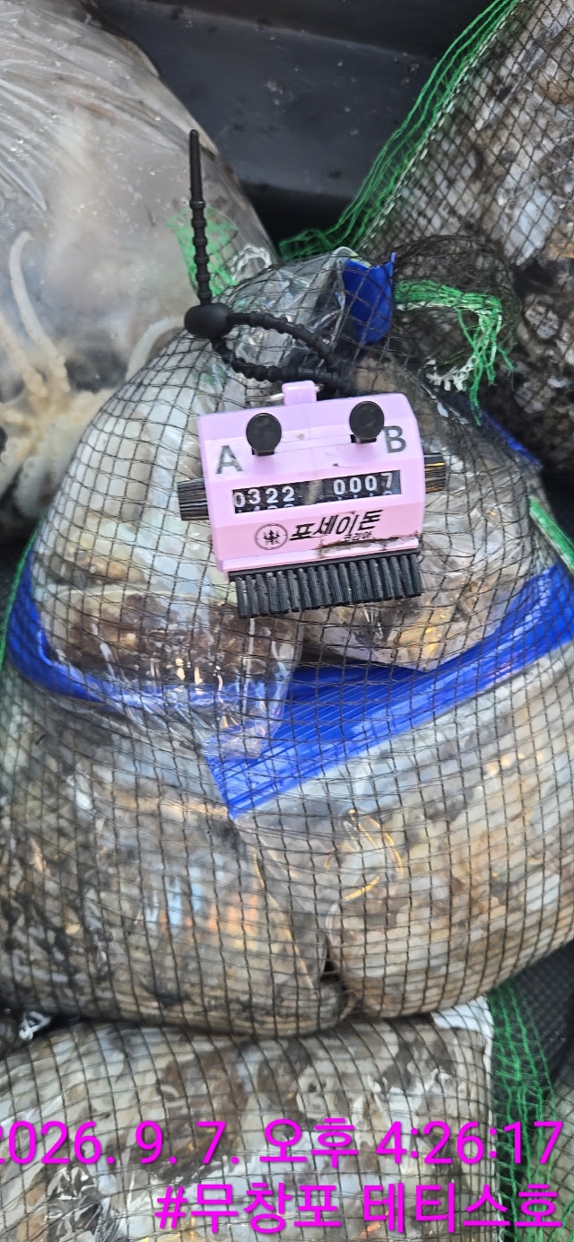 9월 7일 여수 주꾸미 선상낚시 조황 현장 사진 5