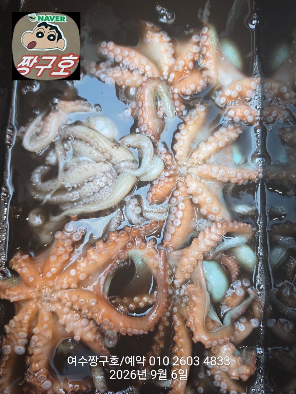 9월 6일 여수 문어 선상낚시 조황 현장 사진 8