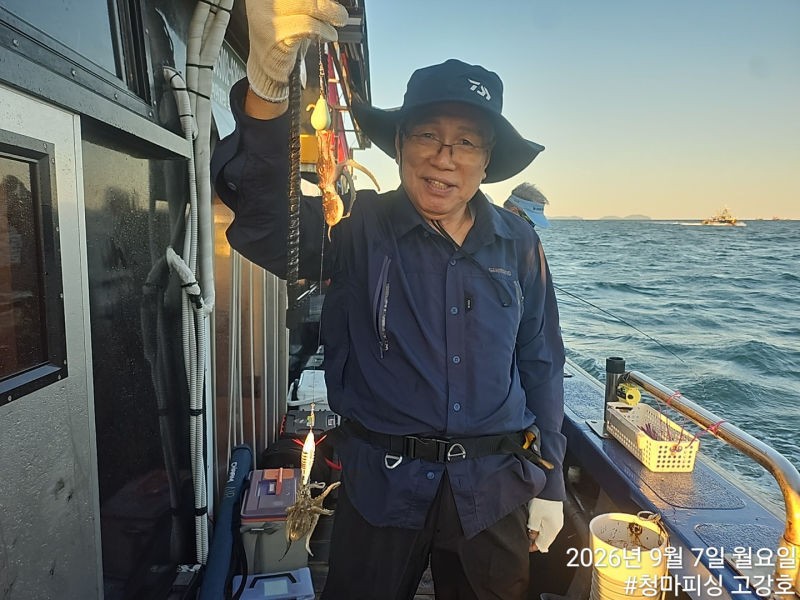 9월 7일 인천 갑오징어 선상낚시 조황 현장 사진 16