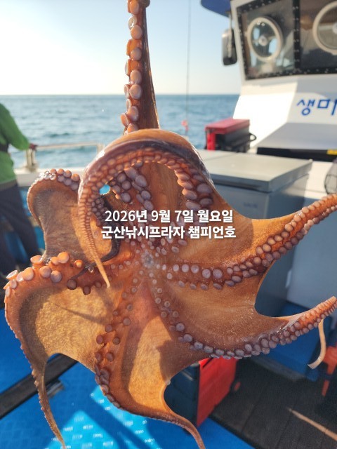 9월 7일 여수 주꾸미 선상낚시 조황 현장 사진 7