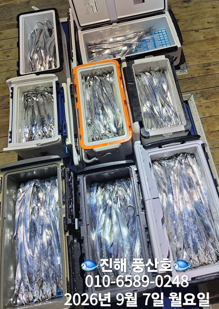 9월 6일 진해 갈치 선상낚시 조황 현장 사진 20