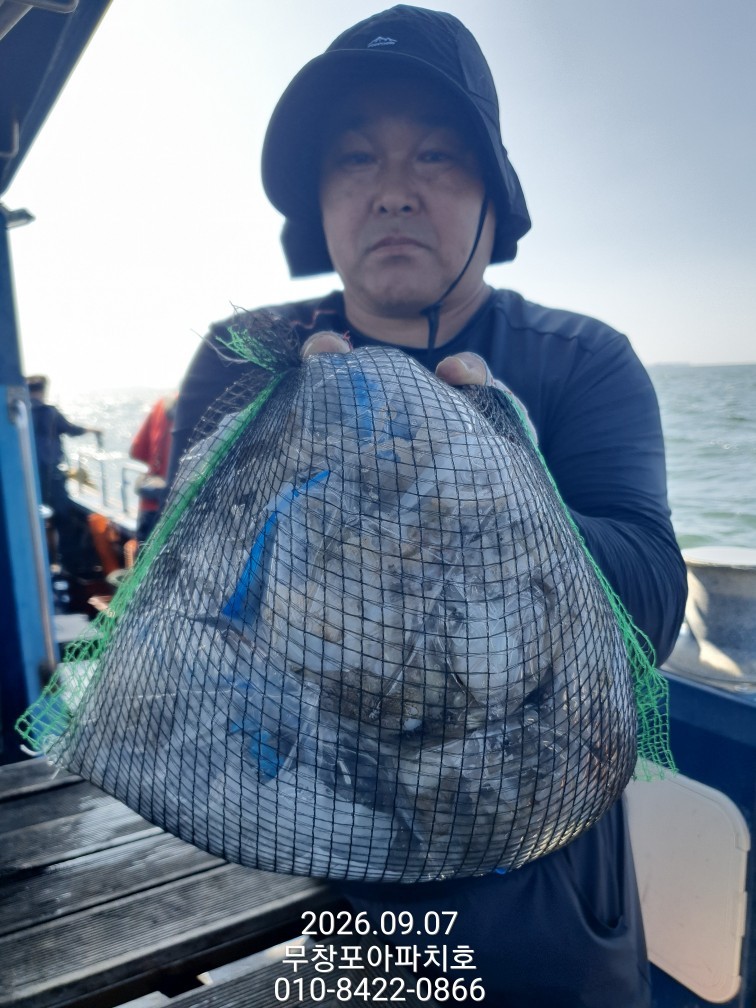 9월 7일 포항 주꾸미 선상낚시 조황 현장 사진 7
