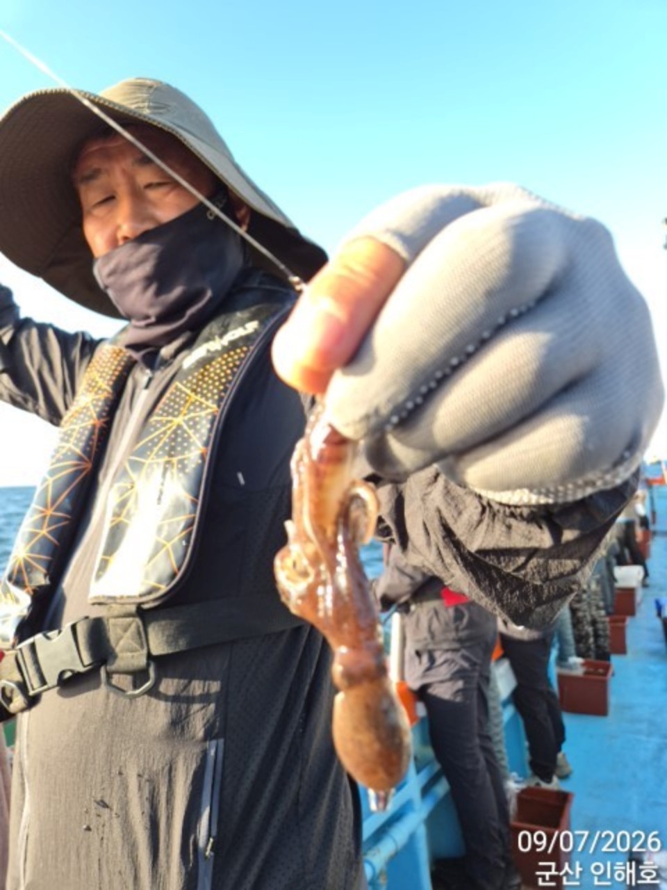 9월 7일 군산 갑오징어 선상낚시 조황 현장 사진 17