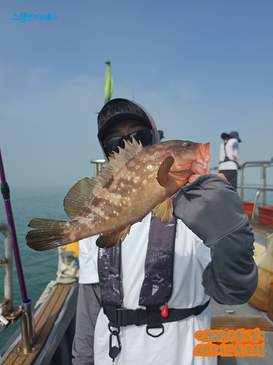 9월 8일 문어 선상낚시 조황 현장 사진 4