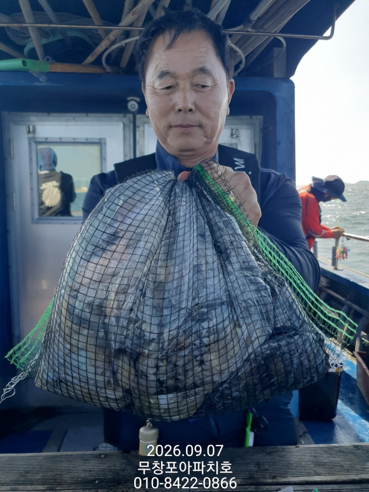 9월 7일 포항 주꾸미 선상낚시 조황 현장 사진 9