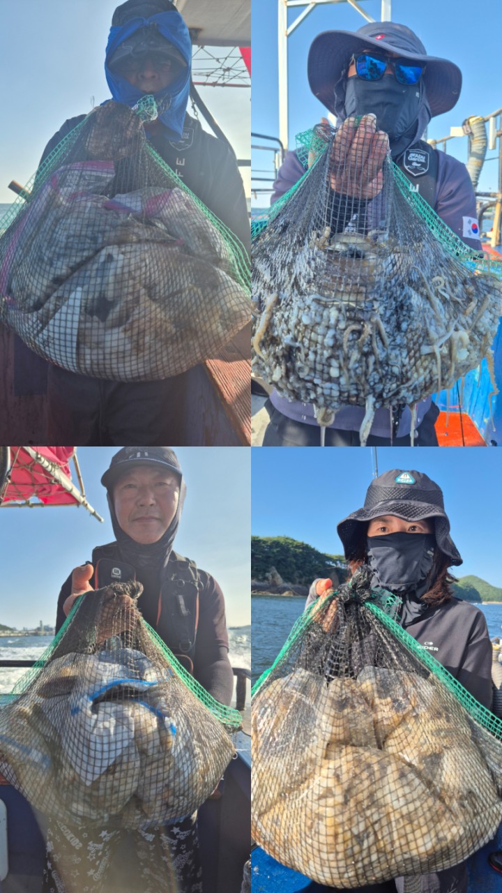 9월 7일 갑오징어 선상낚시 조황 현장 사진 2