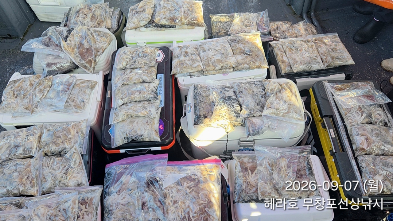 9월 7일 포항 주꾸미 선상낚시 조황 현장 사진 2