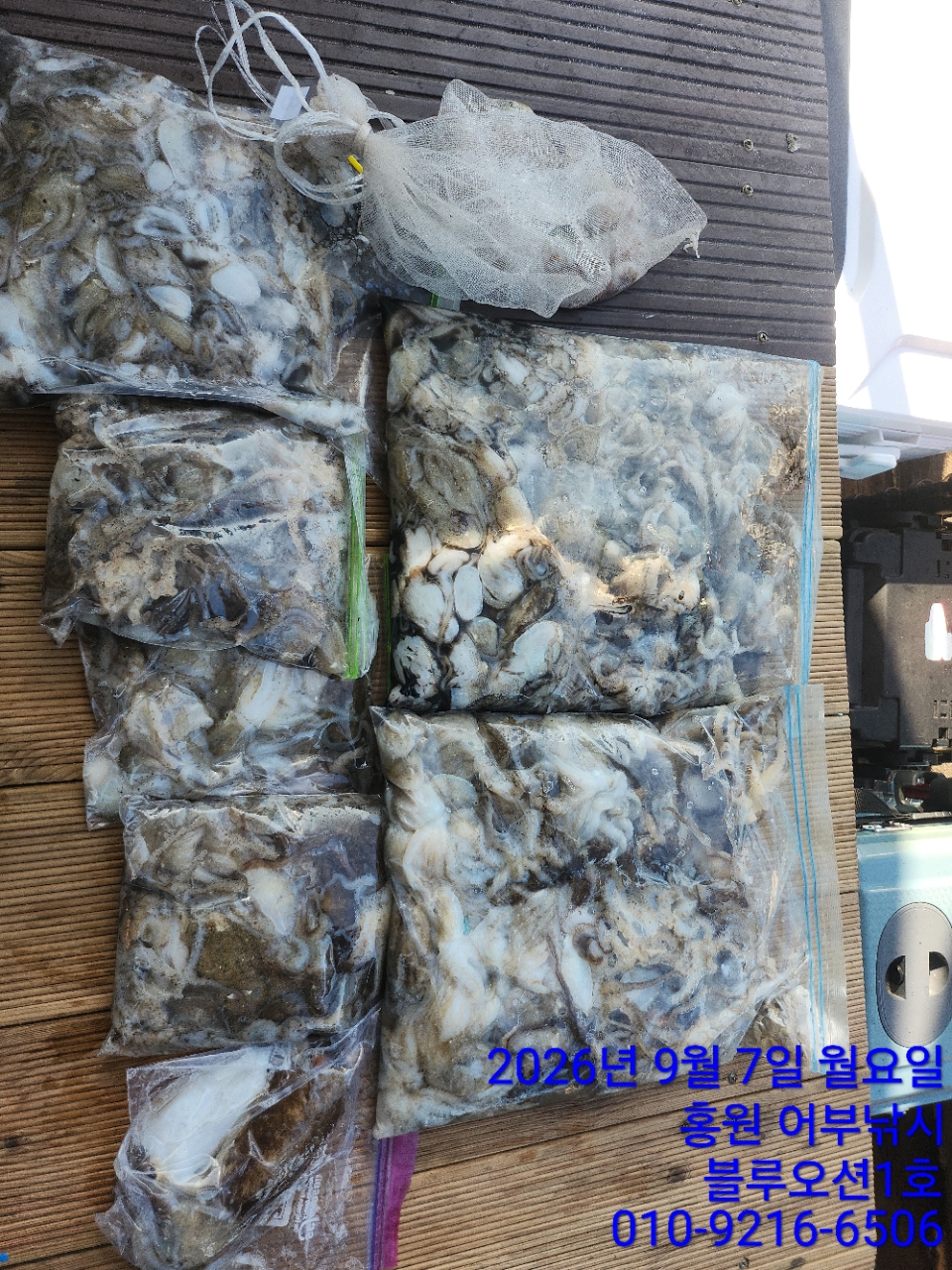 9월 7일 주꾸미 선상낚시 조황 현장 사진 5