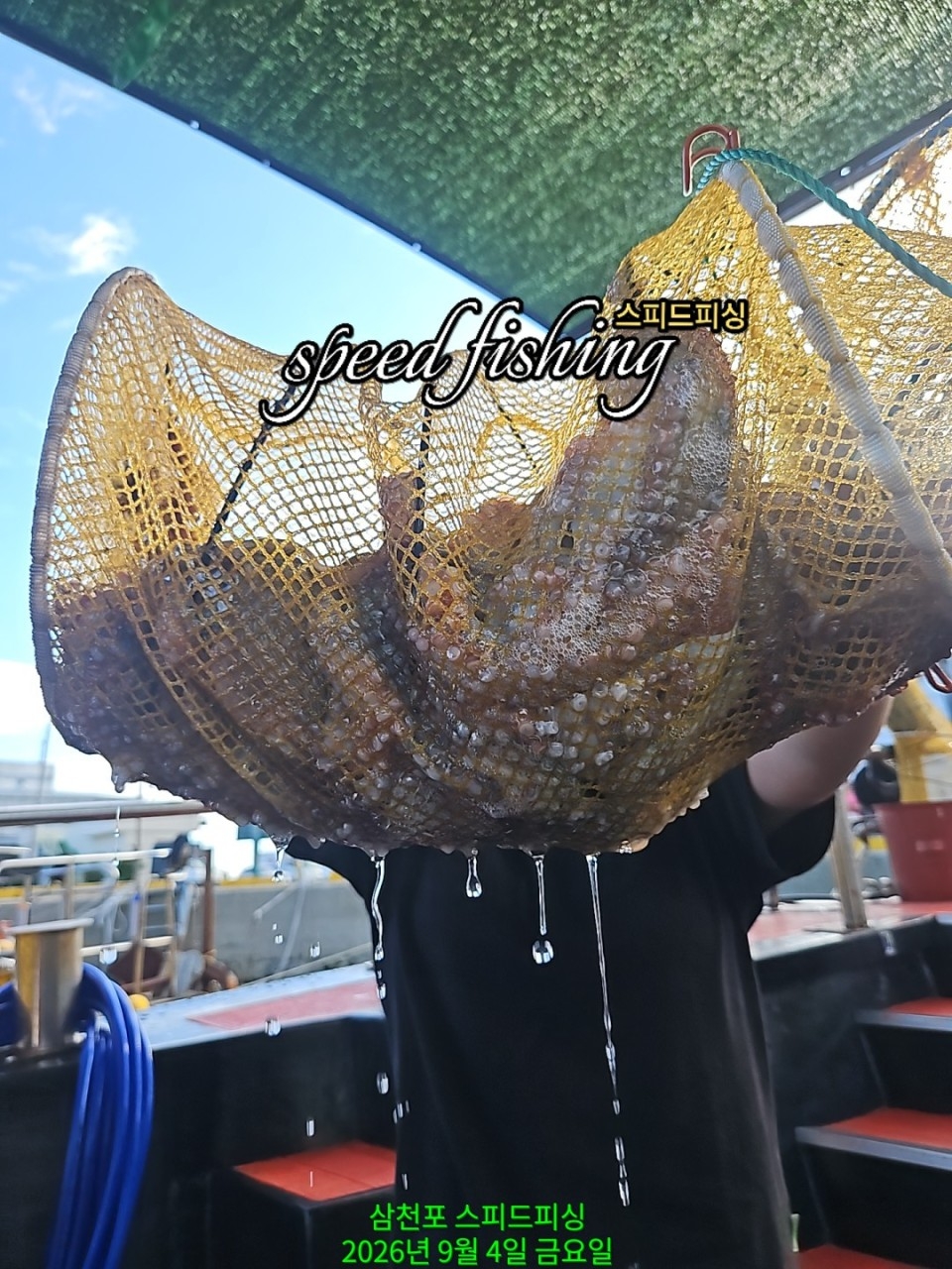 9월 7일 삼천포 주꾸미 선상낚시 조황 현장 사진 5