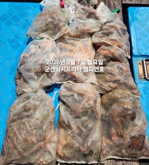 9월 7일 여수 주꾸미 선상낚시 조황 현장 사진 1
