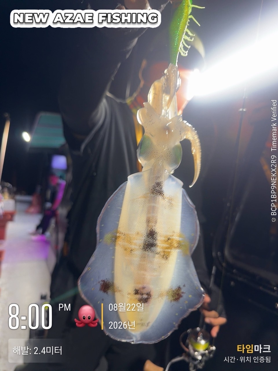 9월 7일 삼천포 갑오징어 선상낚시 조황 현장 사진 18