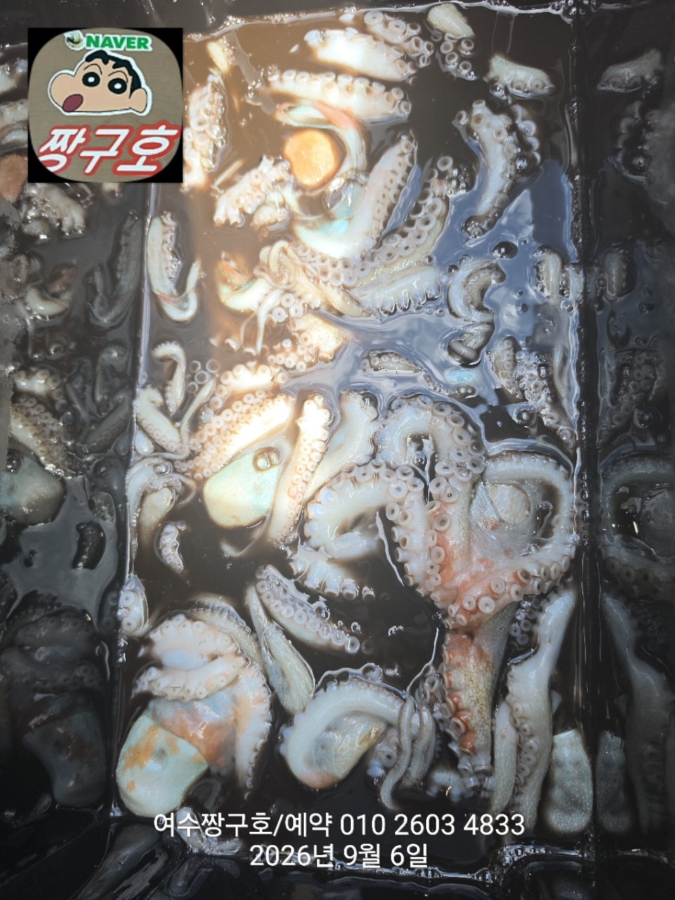 9월 6일 여수 문어 선상낚시 조황 현장 사진 13
