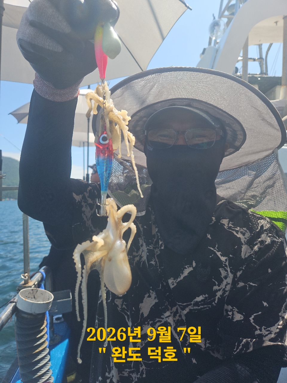 9월 7일 완도 문어 선상낚시 조황 현장 사진 8