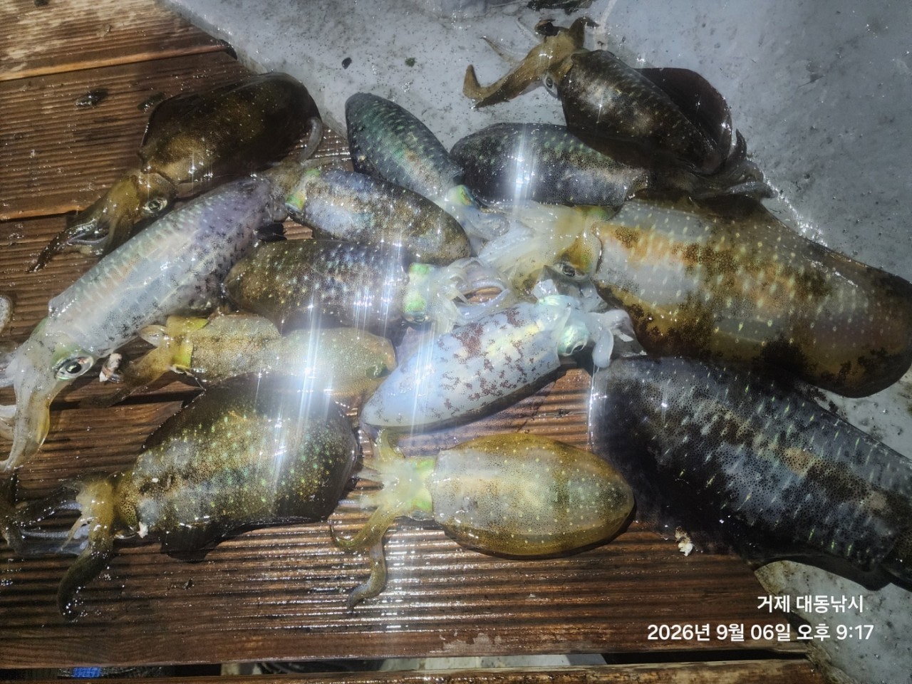 ����ڰ� �ø� �̹���