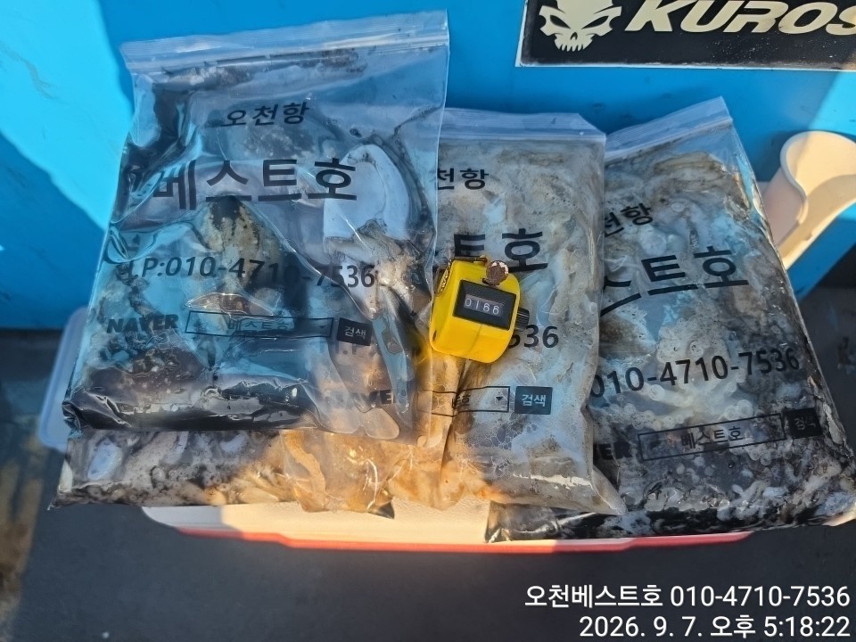 9월 7일 갑오징어 선상낚시 조황 현장 사진 6