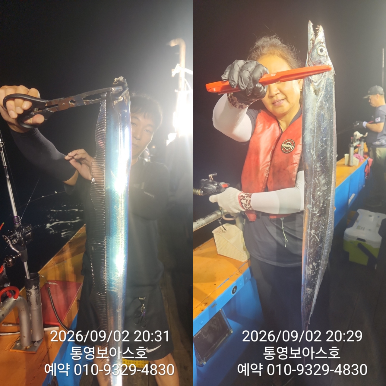 9월 7일 통영 갈치 선상낚시 조황 현장 사진 3