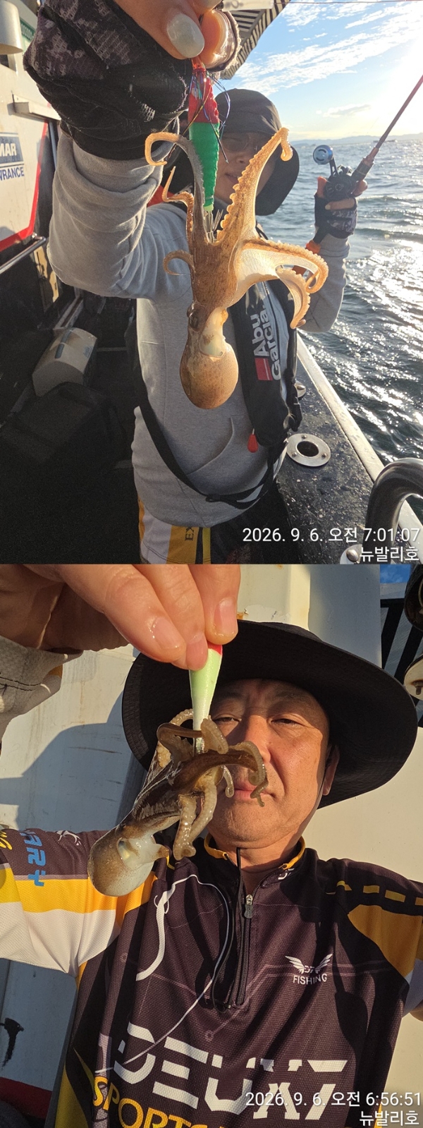 9월 7일 군산 주꾸미 선상낚시 조황 현장 사진 4