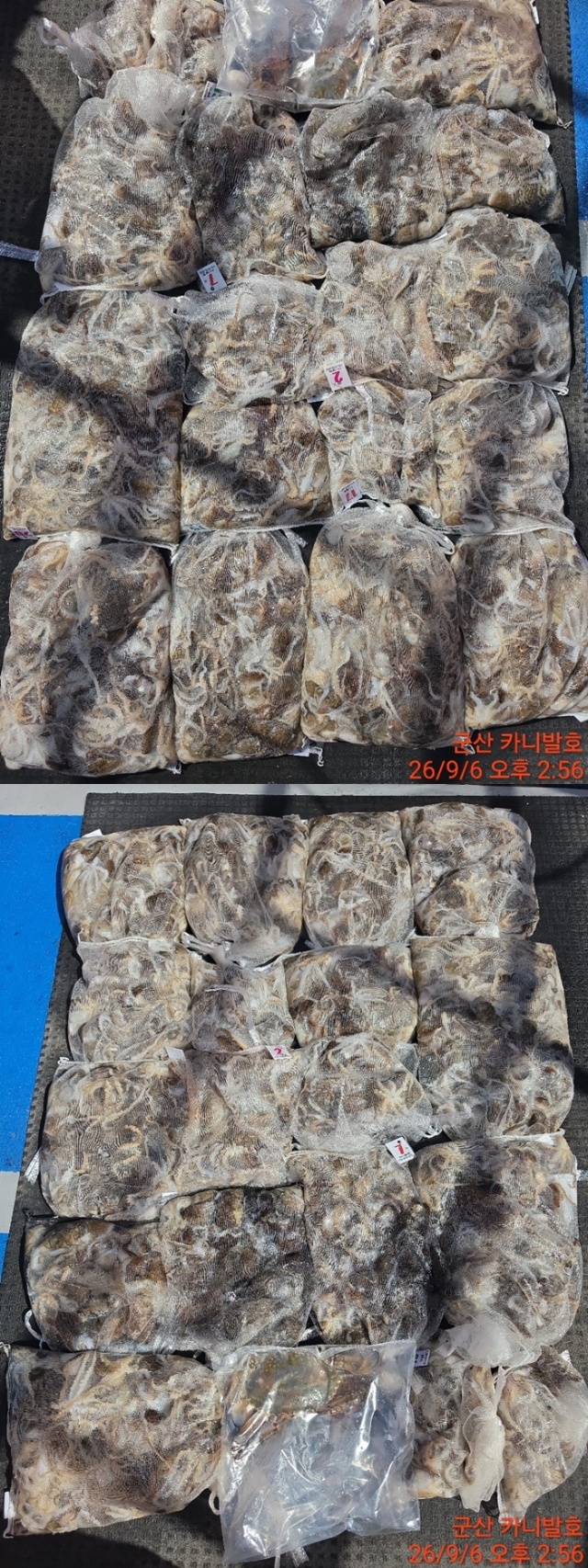 9월 9일 군산 선상낚시 조황 현장 사진 7
