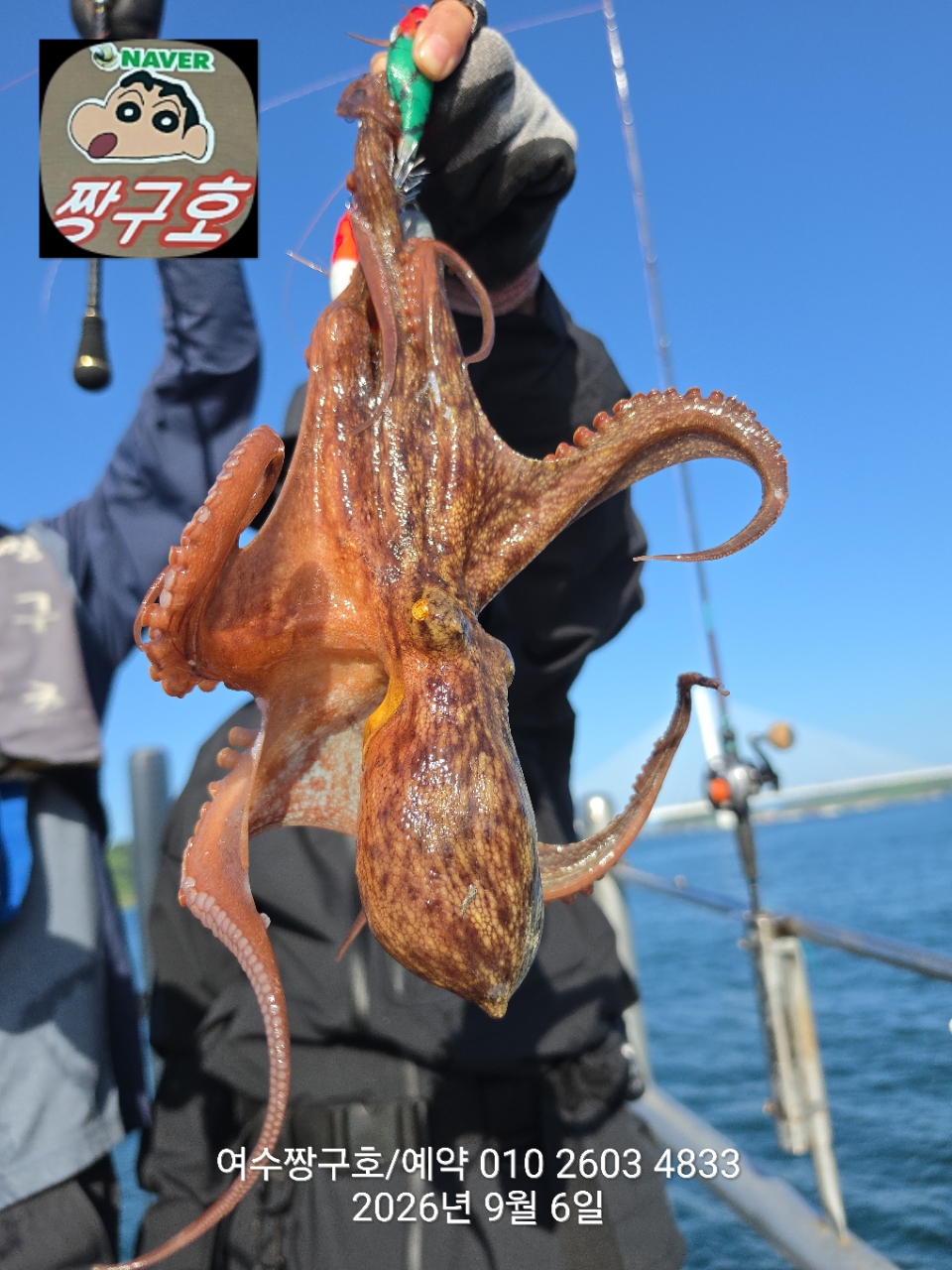 9월 6일 여수 문어 선상낚시 조황 현장 사진 35
