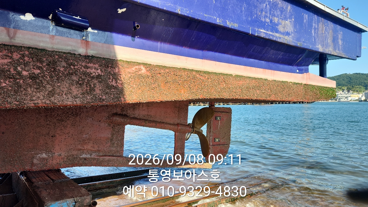 9월 8일 통영 갈치 선상낚시 조황 현장 사진 6
