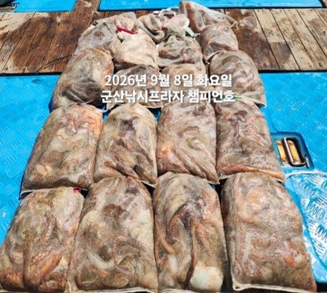 9월 8일 여수 문어 선상낚시 조황 현장 사진 1