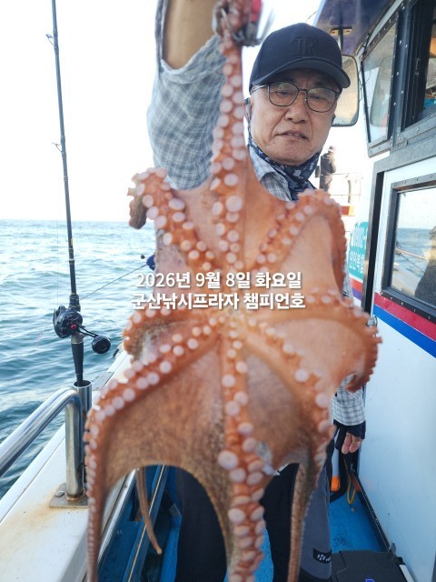 9월 8일 여수 문어 선상낚시 조황 현장 사진 8