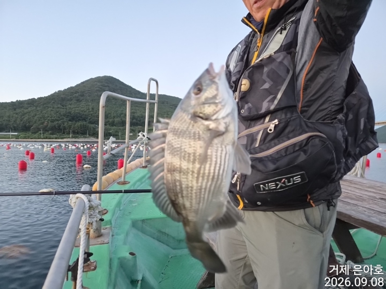 9월 8일 거제 감성돔 선상낚시 조황 현장 사진 4
