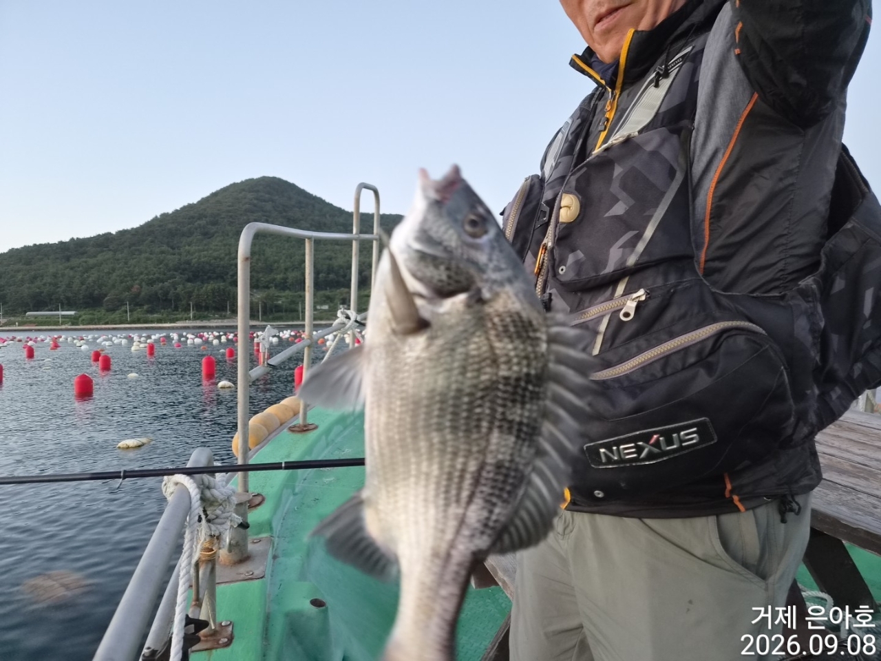 9월 8일 거제 감성돔 선상낚시 조황 현장 사진 2