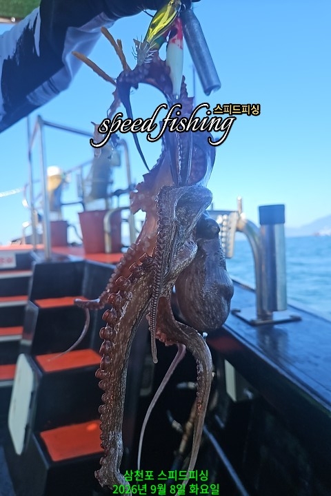 9월 8일 삼천포 문어 선상낚시 조황 현장 사진 3