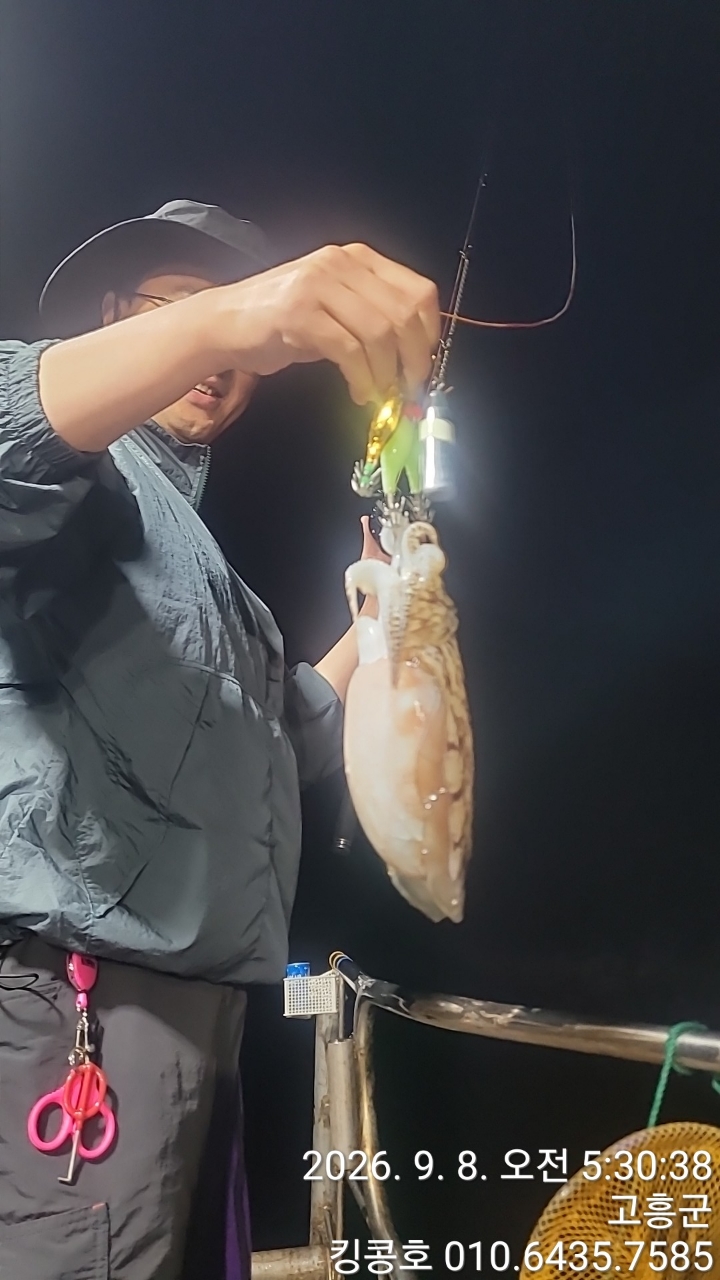 9월 8일 고흥 갑오징어 선상낚시 조황 현장 사진 1
