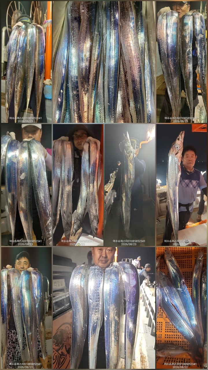 9월 8일 남해 갈치 선상낚시 조황 현장 사진 3