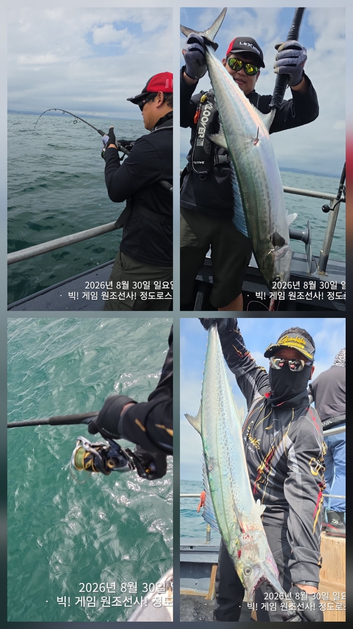 9월 8일 포항 무늬오징어 선상낚시 조황 현장 사진 15
