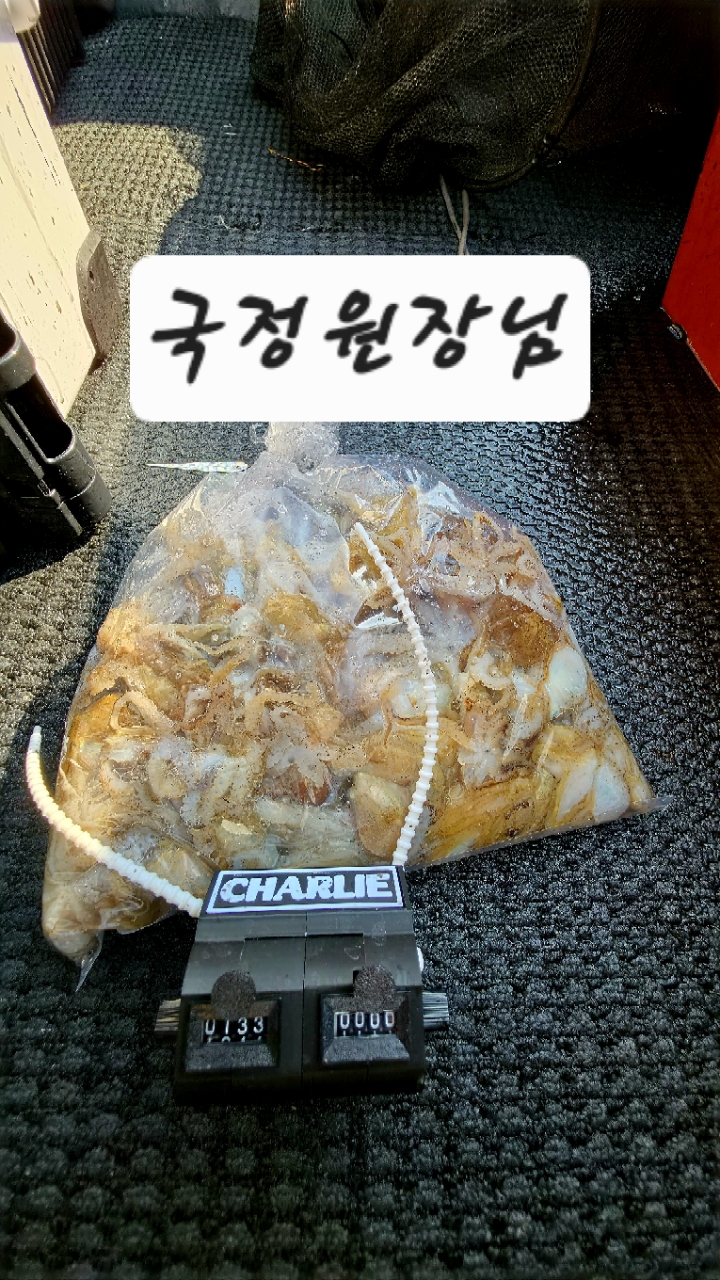 9월 8일 남해 주꾸미 선상낚시 조황 현장 사진 2