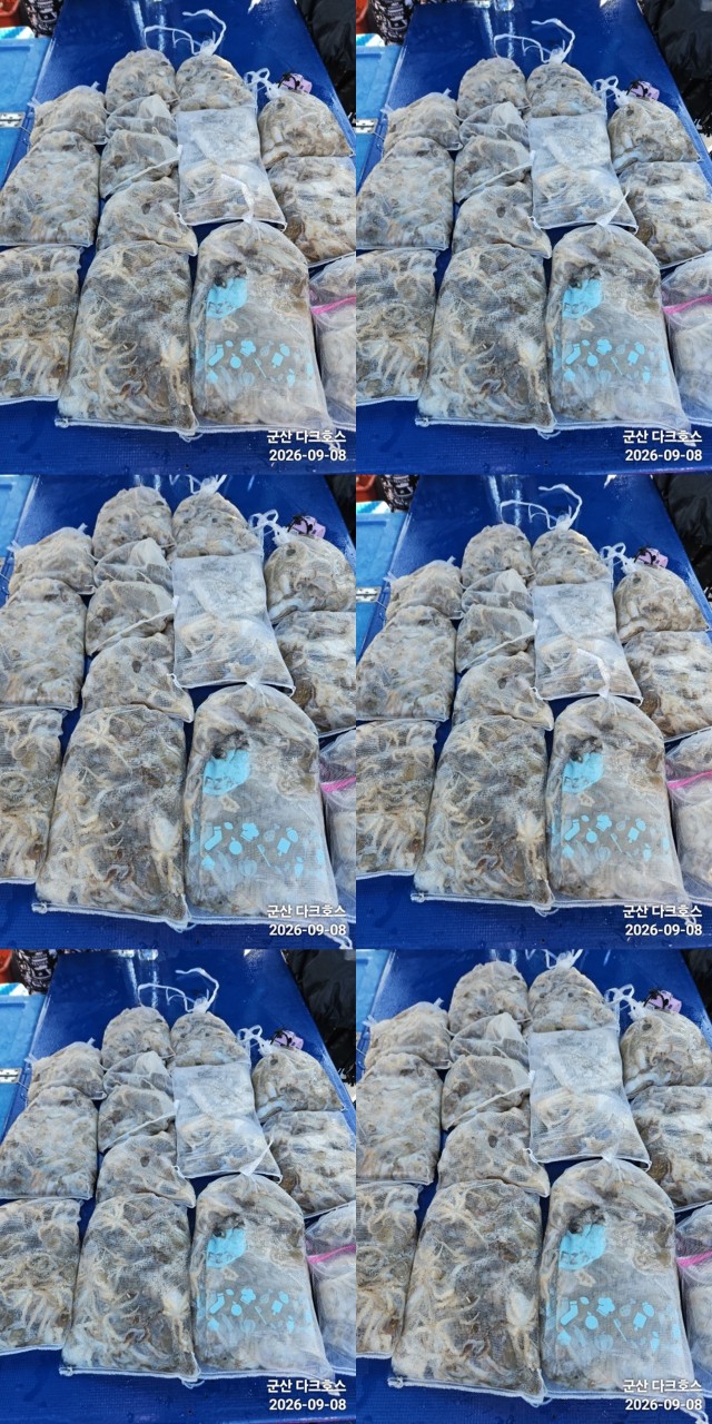 9월 8일 군산 주꾸미 선상낚시 조황 현장 사진 1