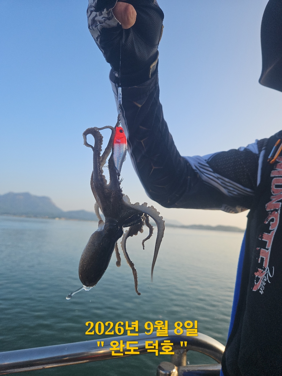 9월 8일 완도 주꾸미 선상낚시 조황 현장 사진 11