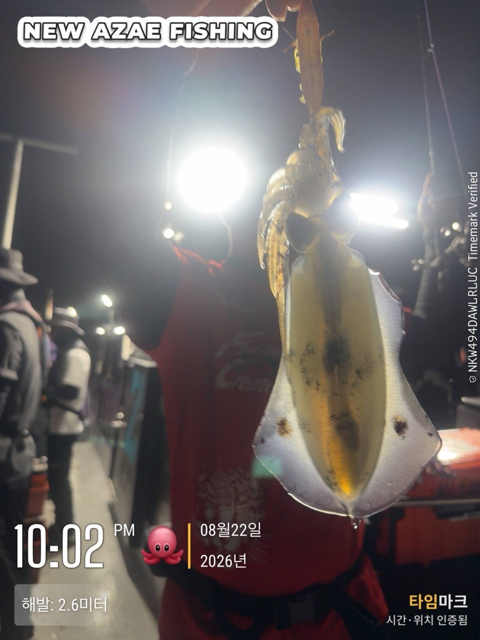 9월 8일 삼천포 무늬오징어 선상낚시 조황 현장 사진 11