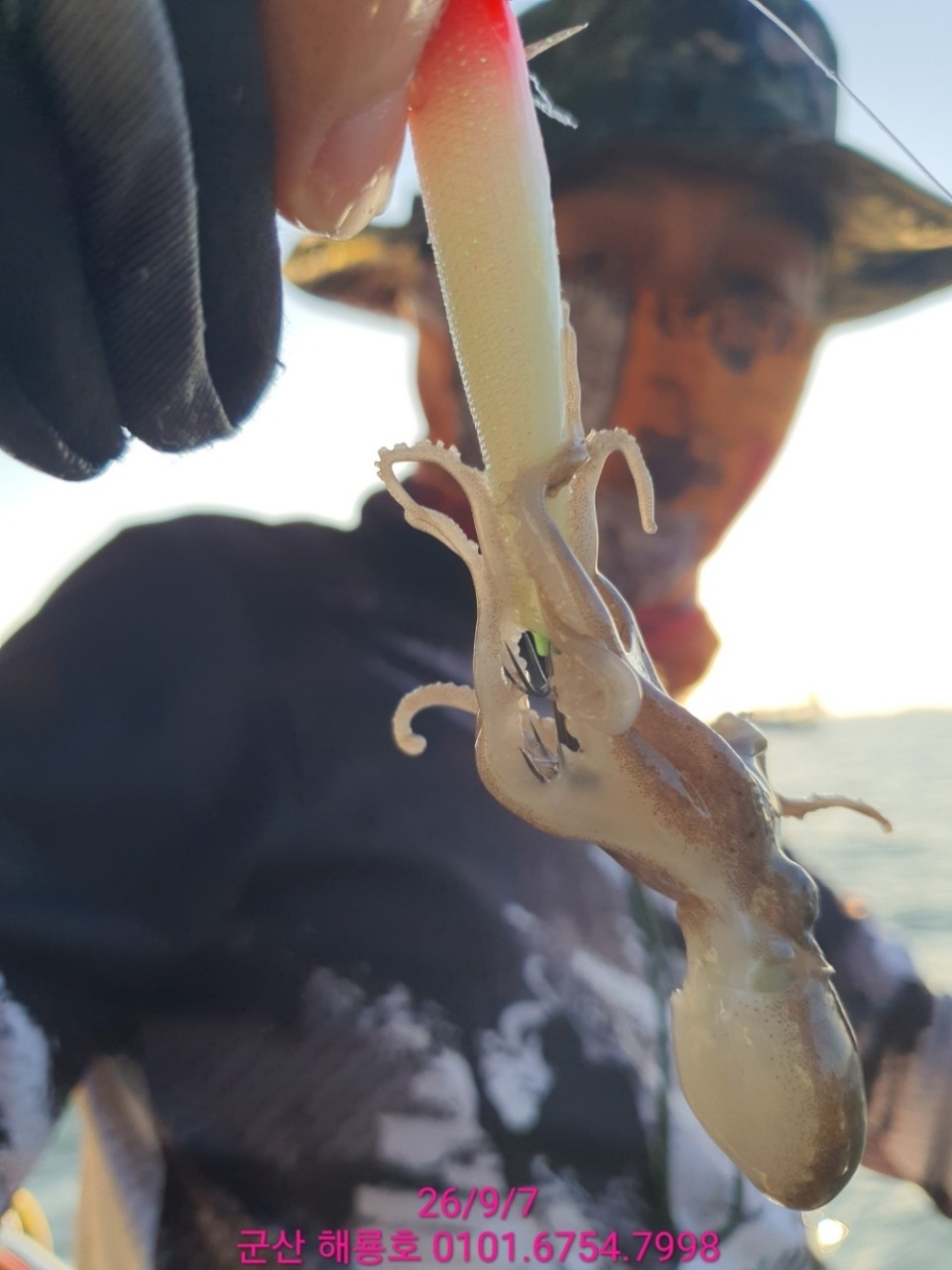 9월 7일 군산 문어 선상낚시 조황 현장 사진 25