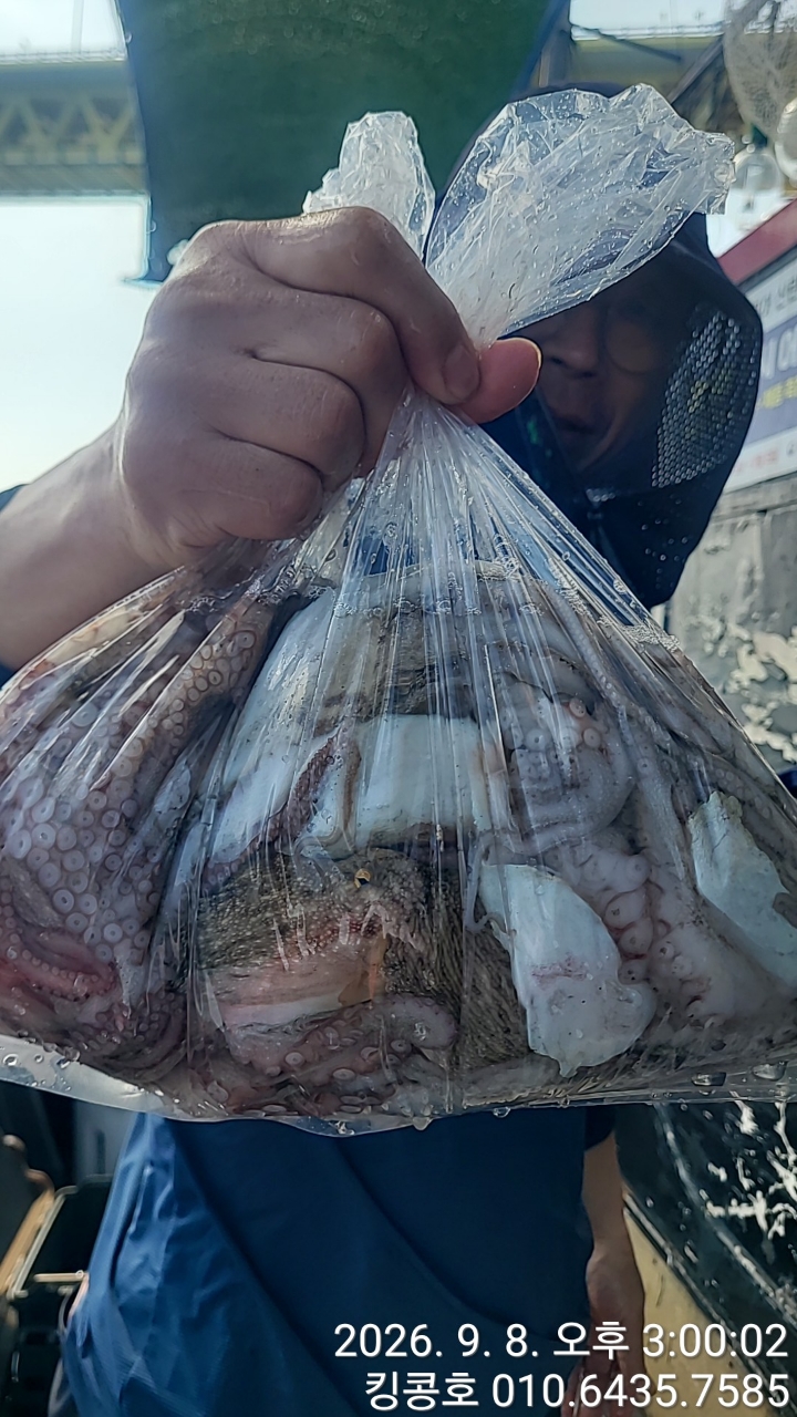 9월 8일 고흥 갑오징어 선상낚시 조황 현장 사진 4