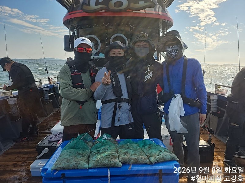 9월 8일 인천 갑오징어 선상낚시 조황 현장 사진 35